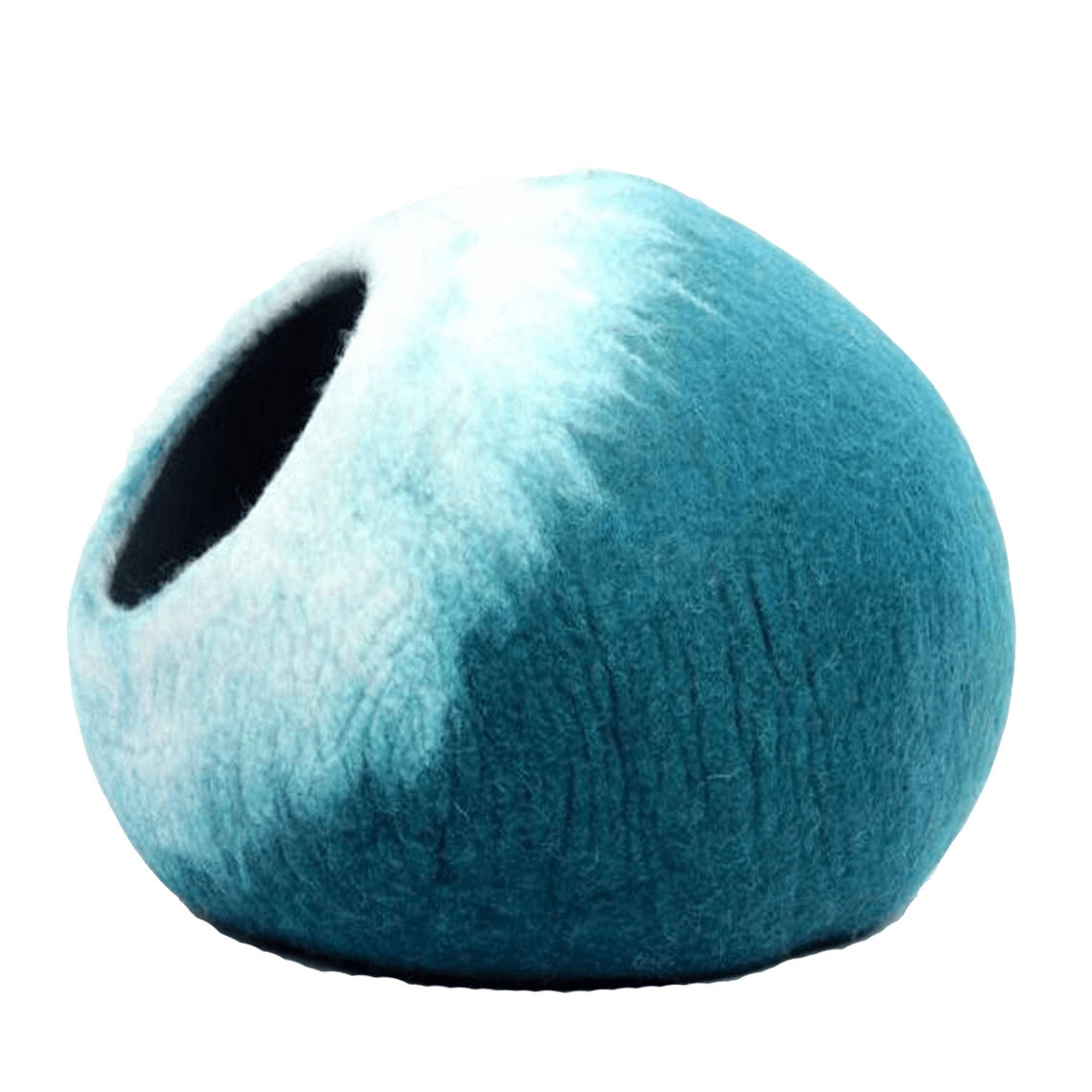 Blue Cat House image