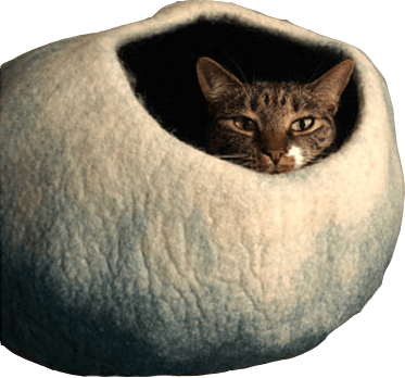 White and purple cat house image